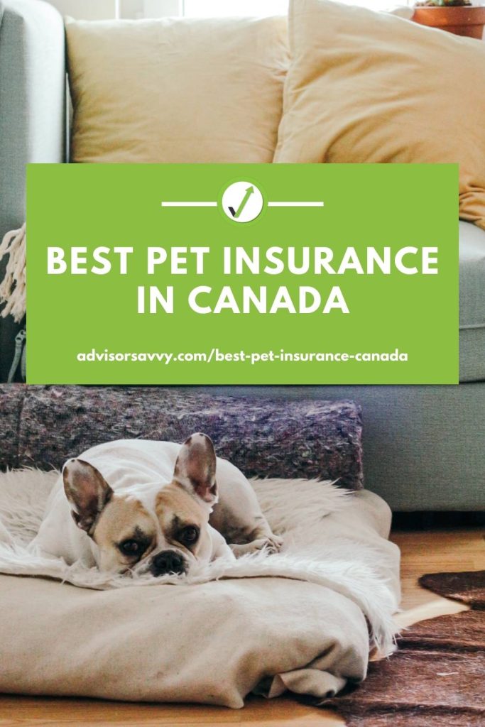 Best Pet Insurance In Canada