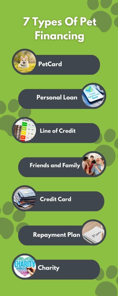 7 types of pet financing