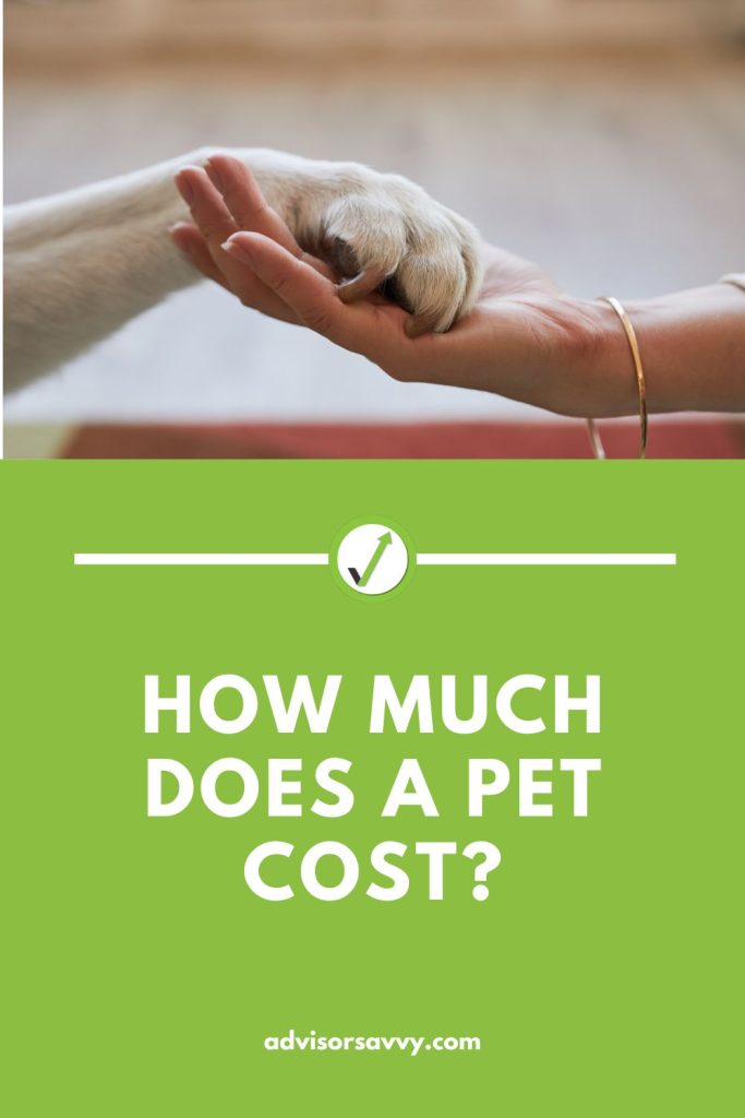 how much does a pet cost